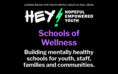 HEY! Schools of Wellness Initiative